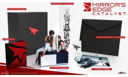 Mirror s edge catalyst collector