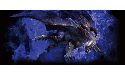 Monster Hunter 4 Collector Japon 3DS 16.10.2013 (2)