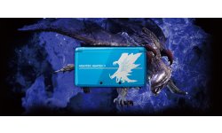 Monster Hunter 4 Collector Japon 3DS 16.10.2013 (3)