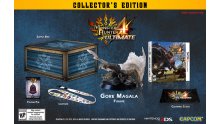 monster-hunter-4-ultimate-collectors-edition-unbox-figurine-pin
