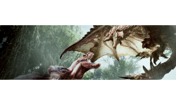 Monster Hunter Beta