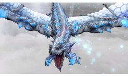 Monster Hunter Frontier G 01 08 2013 head
