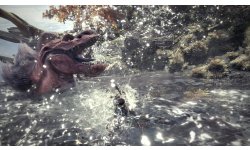 Monster Hunter World 006