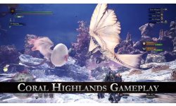 Monster Hunter World Coral Highlands Gameplay