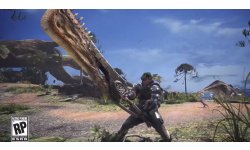 Monster Hunter World Heavy Weapons