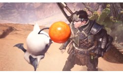 Monster Hunter World Mogèhead