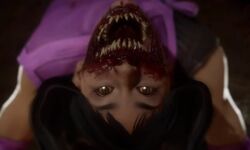 Mortal Kombat 11 Ultimate vignette 05 11 2020