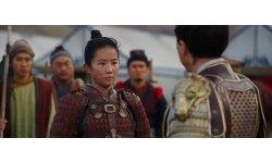 Mulan vignette 03 02 2020