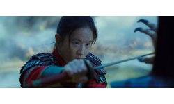 Mulan vignette 05 12 2019