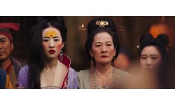 Mulan vignette 31 01 2020