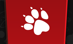 Naughty Dog logo blog head Z
