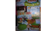 New Harvest Moon 3DS 09.10.2013 (2)