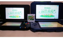 New Nintendo 3DS XL zonee zonage (3)