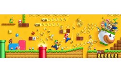 New Super Mario Bros 2 15.08.2013.