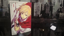 Ni No Kuni l'Héritier de la Lumière et le Prince Chat Manga 0002