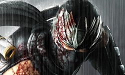 Ninja Gaiden 3 team 06.02.2014