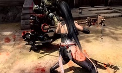 Ninja Gaiden Master Collection head