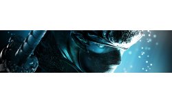 Ninja Gaiden vignette ban image