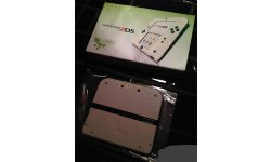 nintendo 2ds luigi (1)