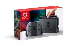 nintendo switch gris