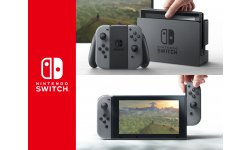 Nintendo Switch hardware head pic 0