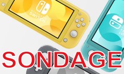 Nintendo Switch Lite Sondage semaine communaute images (3)