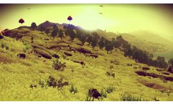 No Man Sky Survie