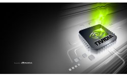 nvidia large