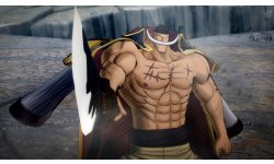 One Piece Burning Blood 01 02 2016 screenshot (2)
