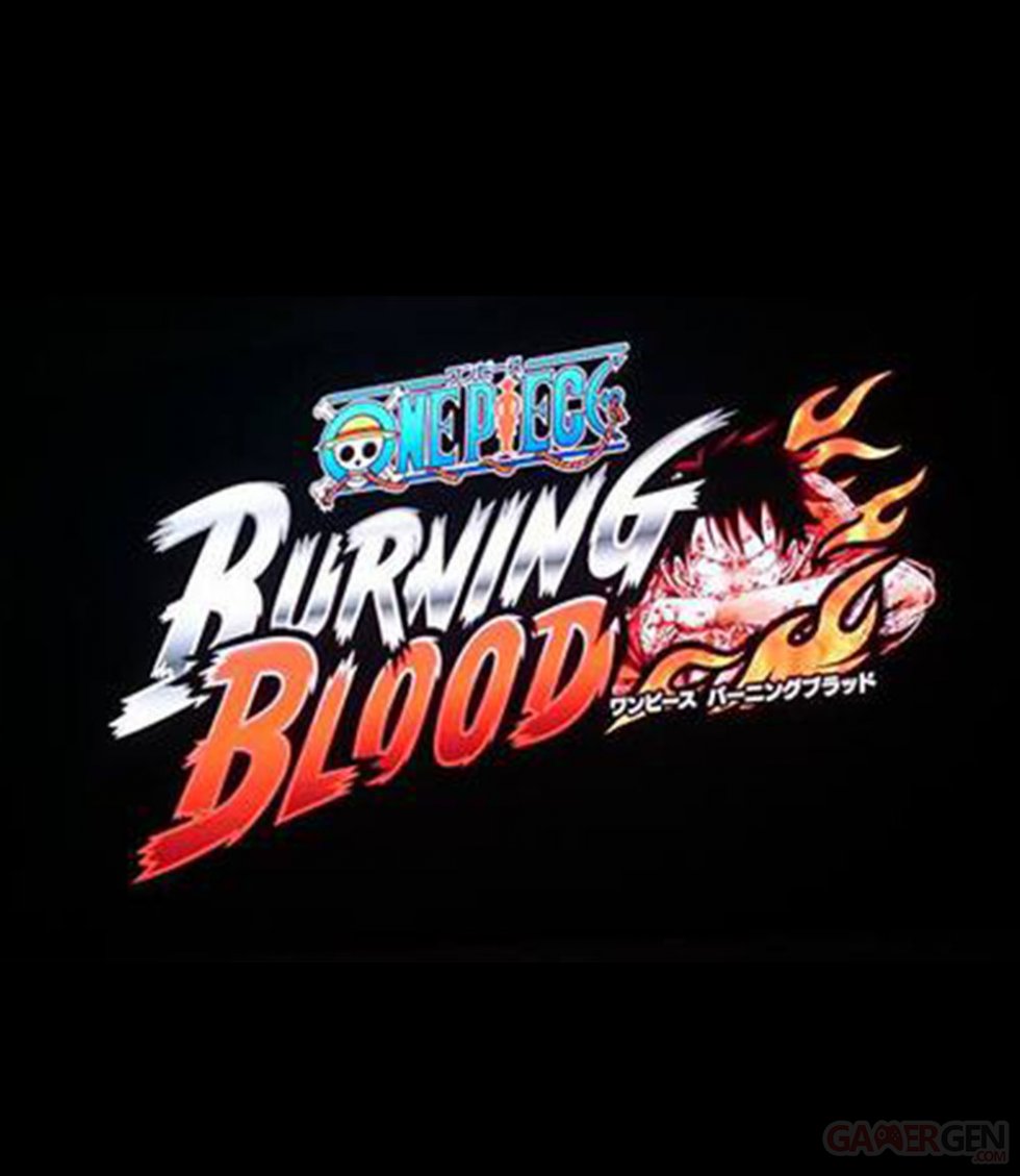 One Piece  Burning Blood jaquette provisoire