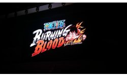 One Piece Burning Blood