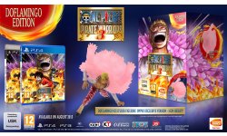 One Piece Pirate Warriors 3 edition collector bonus (1)