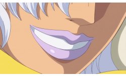 One Piece Pirate Warriors 4 anime vignette 09 04 2020