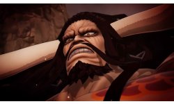One Piece Pirate Warriors 4 vignette 11 09 2019