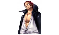 One Piece Romance Dawn 22.07.2013 (11)