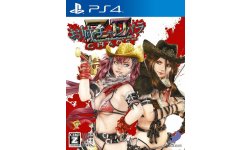 Onechanbara Z2 Chaos jaquette 12.09.2014