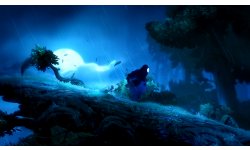 Ori and the Blind Forest 2014 09 17 14 003