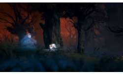 Ori and the Blind Forest 2014 09 17 14 005