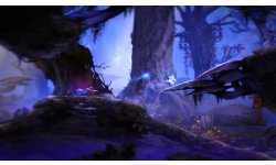 Ori and the Blind Forest 2014 09 17 14 008