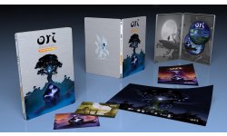 Ori and the Blind Forest Definitive Edition version physique