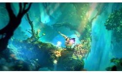 Ori and the Will of the Wisps (9)