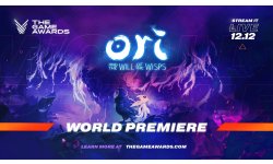 Ori and the Will of the Wisps head