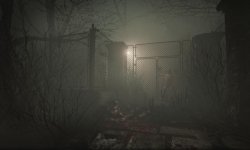 outlast dlc 2