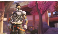 Overwatch Anniversary Coffres Contenu Cartes (32)