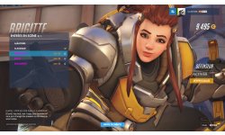 Overwatch Brigitte Défenseur