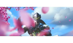 Overwatch head 2