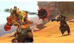 Overwatch Switch Annonce (7)