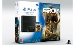 Pack Far Cry Primal PS4