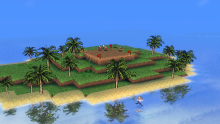 palm2