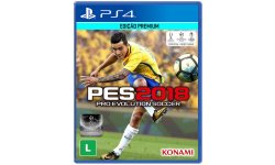 PES 2018 08 08 2017 Brésil 10